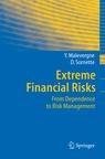 Extreme Financial Risks: From Dependence To Risk Management.