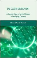 Sme Cluster Development: a Dynamic View Of Survival Clusters In Developing Countries