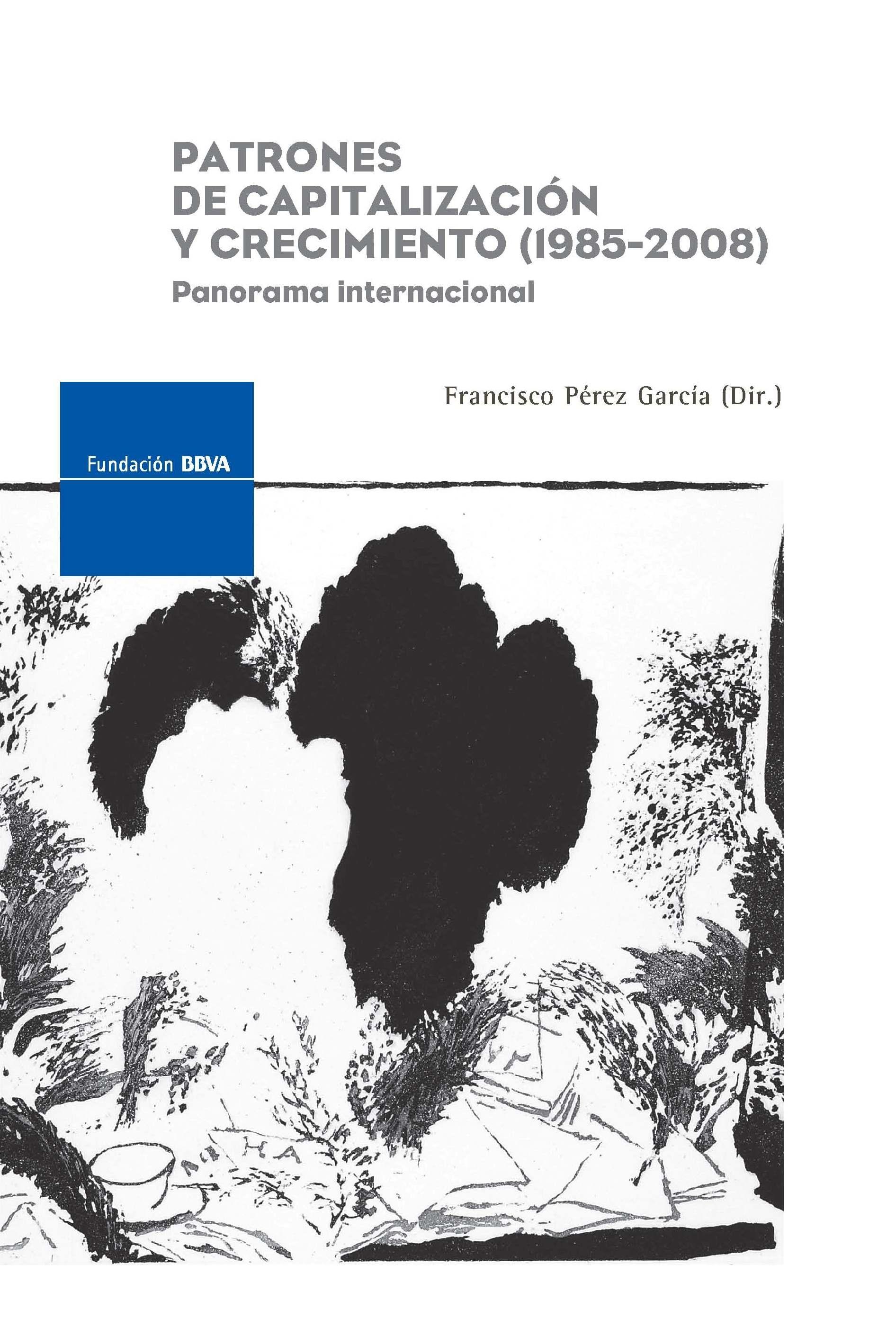 Patrones de capitalización y crecimiento (1985-2008) "Panorama Internacional"