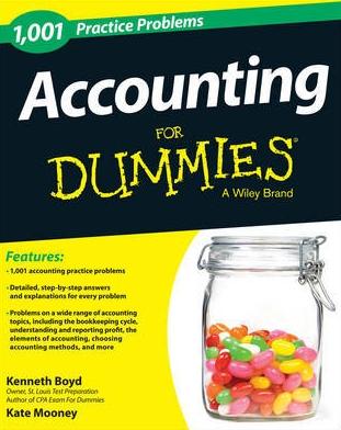 1001 Accounting Practice Problems For Dummies