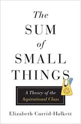 The Sum of Small Things "A Theory of the Aspirational Class"