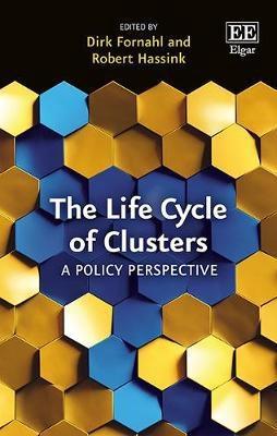 The Life Cycle of Clusters " A Policy Perspective "