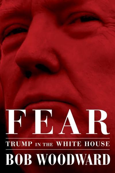 Fear "Trump in the White House"
