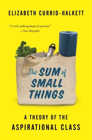 The Sum of Small Things "A Theory of the Aspirational Class"
