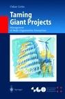 Taming Giant Projects. Management Of Multi-Organization Enterprises.