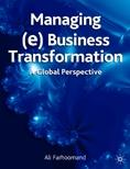 Managing (E)Business Transformation: a Global Perspective.