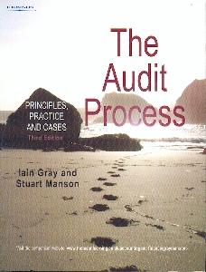 Audit Process