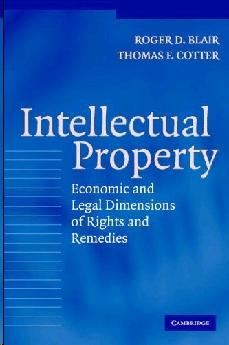 Intellectual Property: Economic And Legal Dimensions Of Rights And Remedies.
