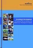 Investing In Development: a Practical Plan To Achieve The Millennium Development Goals