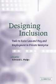 Designing Social Inclusion. The Economics of Subsidies in the Labor Market.