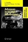 Spatial Econometrics: Statistical Foundations And Applications To Regional Convergence.