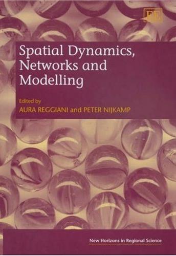 Spatial Dynamics, Networks And Modelling