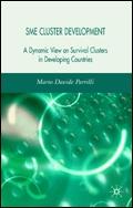 Sme Cluster Development: a Dynamic View Of Survival Clusters In Developing Countries
