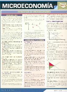 Microeconomía: Díptico Guía Resumen
