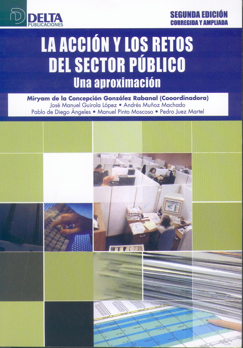 La Accion y los Retos del Sector Publico.