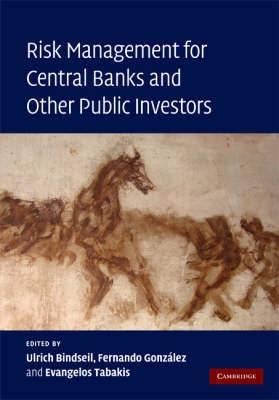 Risk Management For Central Banks And Other Public Investors