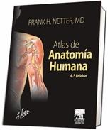 Atlas de Anatomia Humana Atlas de Anatomia Humana