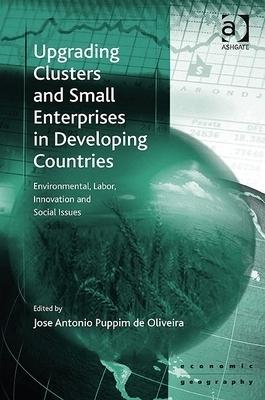 Upgrading Clusters And Small Enterprises In Developing Countries "Environmental, Labour, Innovation And Social Issues"