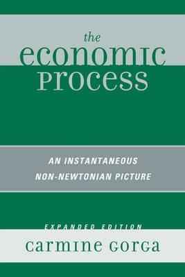 The Economic Process "An Instantaneous Non-Newtonian Picture". An Instantaneous Non-Newtonian Picture