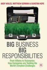 Big Business, Big Responsibilities From Villains To Visionaries "How Companies Are Tackling The World'S Greatest Challenges"