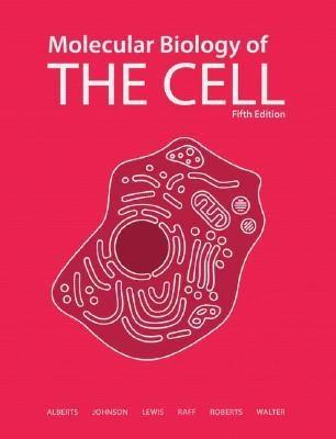 Molecular Biology Of The Cell