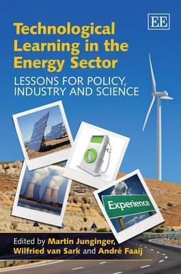 Technological Learning In The Energy Sector