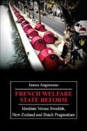 French Welfare State Reform