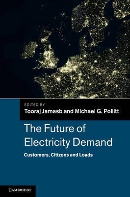 The Future of Electricity Demand