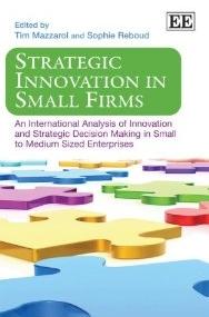 Strategic Innovation in Small Firms