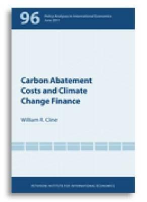 Carbon Abatement Costs and Climate Change Finances