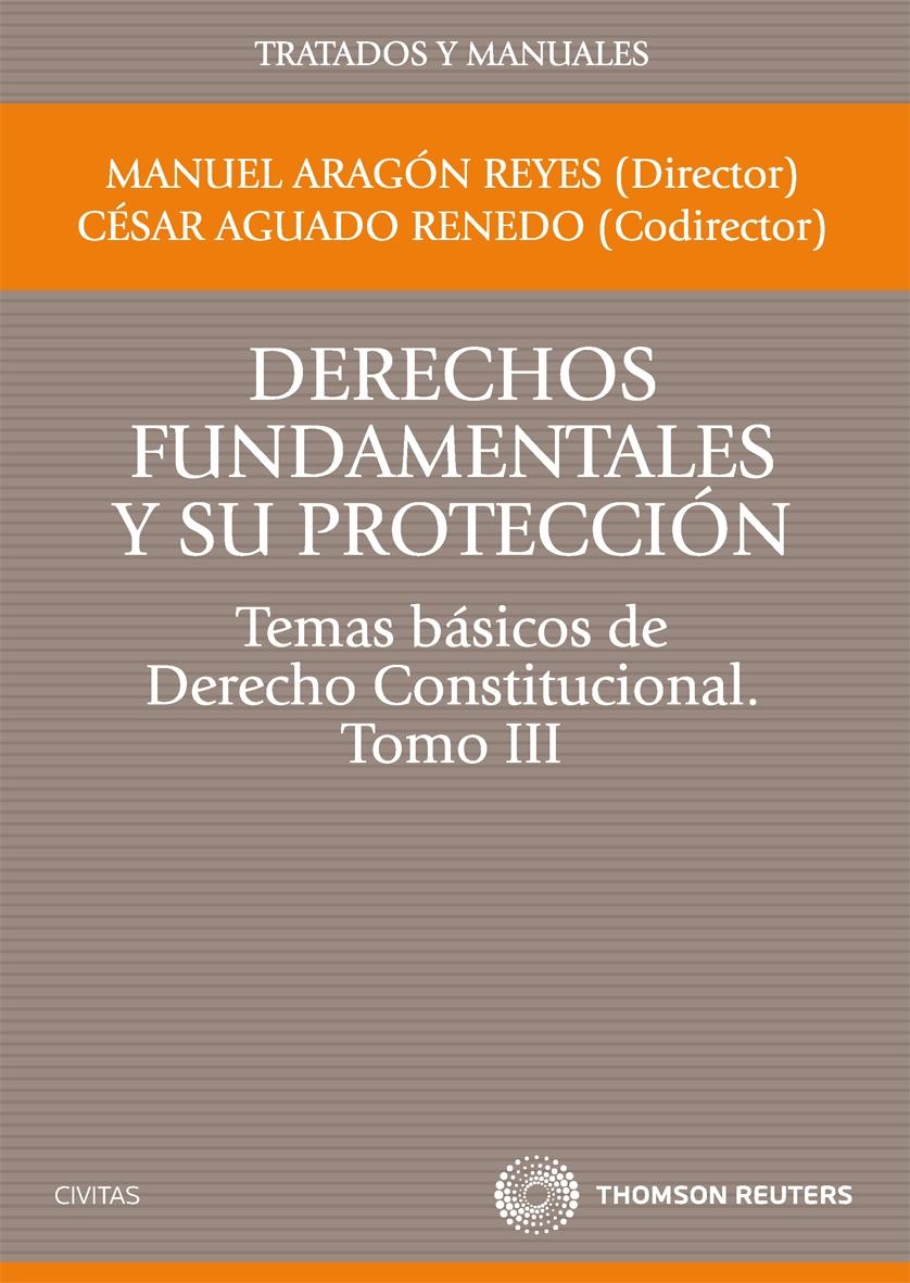 Derechos fundamentales y su protección. Temas básicos de Derecho Constitucional. Tomo III