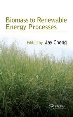 Biomass to Renewable Energy Processes