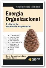 Energía organizacional "7 pilares de excelencia empresarial"