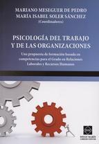 Psicología del trabajo y de las organizaciones