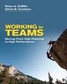 Working in Teams "Moving From High Potential to High Performance"