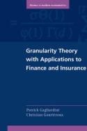 Granularity Theory with Applications to Finance and Insurance