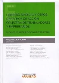 Libertad Sindical y Otros Derechos de Acción Colectiva de Trabajadores y Empresarios "20 Casos de Jurisprudencia Constitucional"