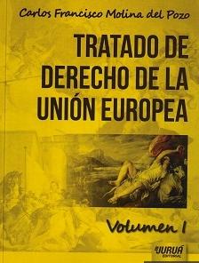 Tratado de la Union Europea Vol.I