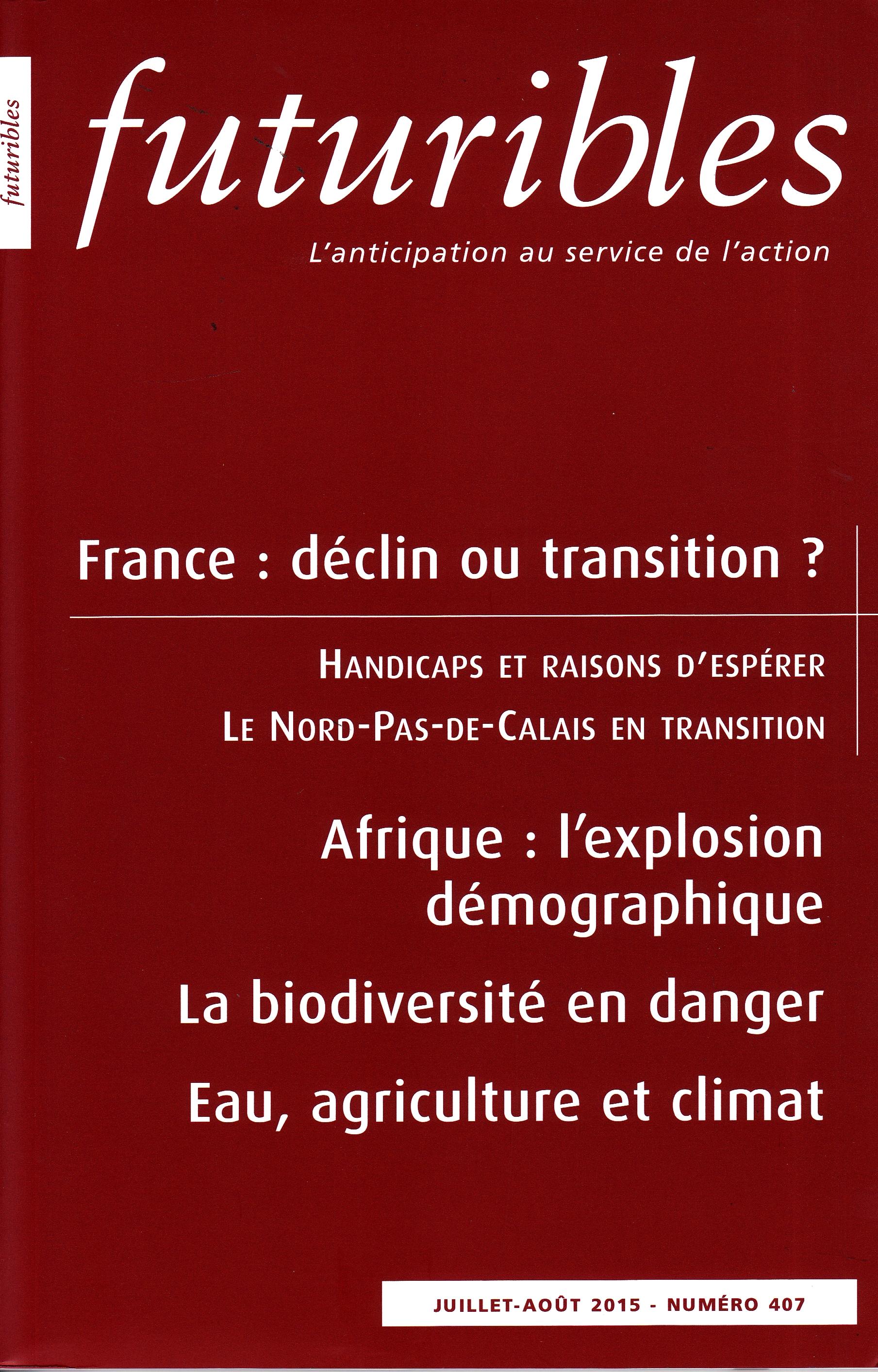 France: déclin ou transition?