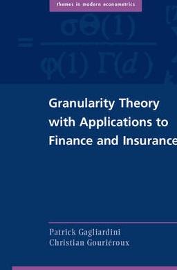 Granularity Theory with Applications to Finance and Insurance