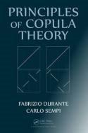 Principles of Copula Theory