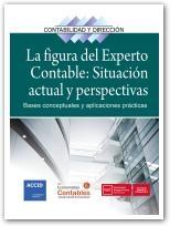 La figura del experto contable: Situación actual y perspectivas "Bases conceptuales y aplicaciones prácticas"