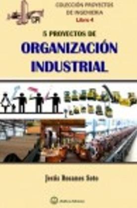 5 proyectos de organización industrial