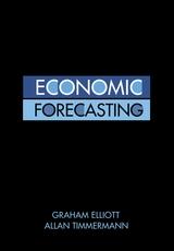 Economic Forecasting