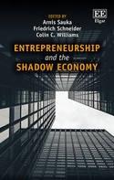 Entrepreneurship and the Shadow Economy