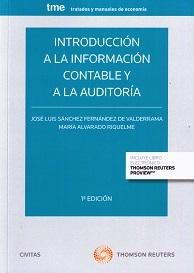 Introducción a la Información Contable y a la Auditoría 