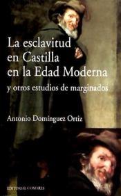 La esclavitud en Castilla en la Edad Moderna y otros estudios de marginados