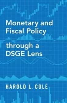 Monetary and Fiscal Policy through a DSGE Lens