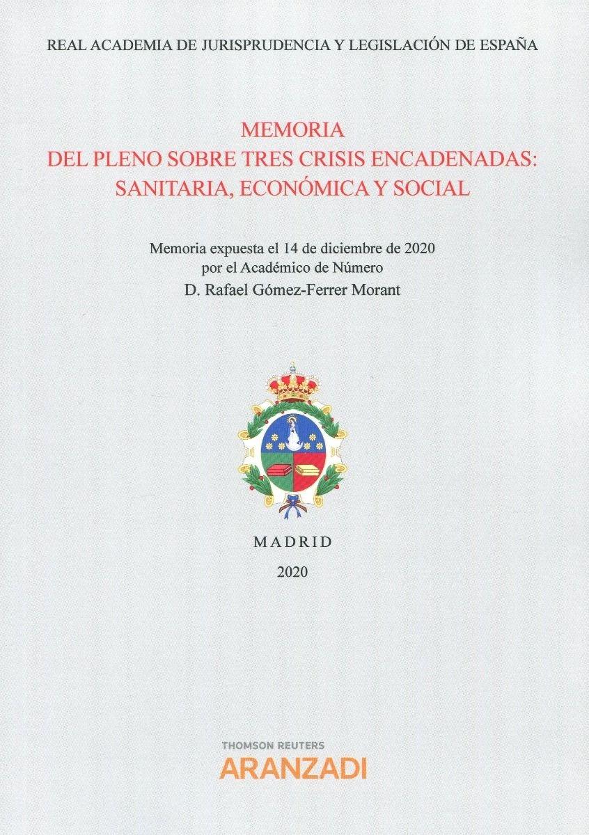 Memoria del pleno sobre crisis encadenadas: sanitaria, económica y social 