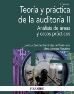 Teoría y práctica de la auditoría II "Análisis de áreas y casos prácticos"